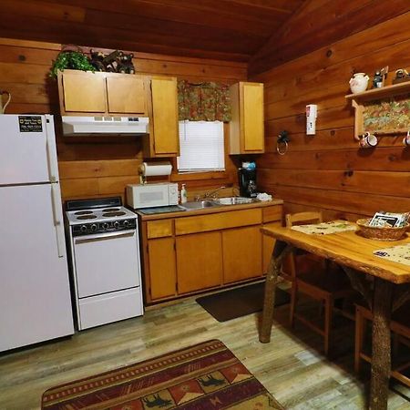 Alpine Mountain Sweetheart Cabin Jacuzzi #6 เฮเลน ภายนอก รูปภาพ