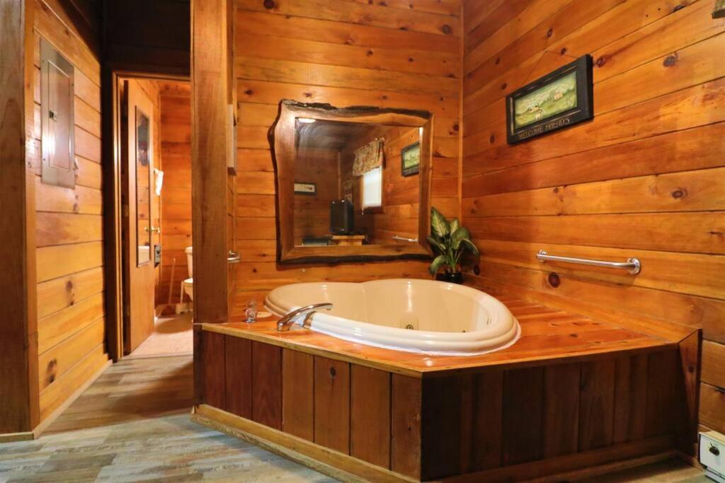 Alpine Mountain Sweetheart Cabin Jacuzzi #6 เฮเลน ภายนอก รูปภาพ