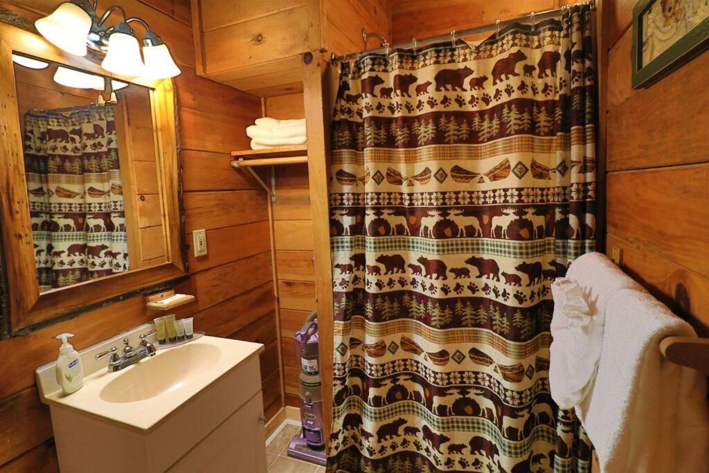 Alpine Mountain Sweetheart Cabin Jacuzzi #6 เฮเลน ภายนอก รูปภาพ